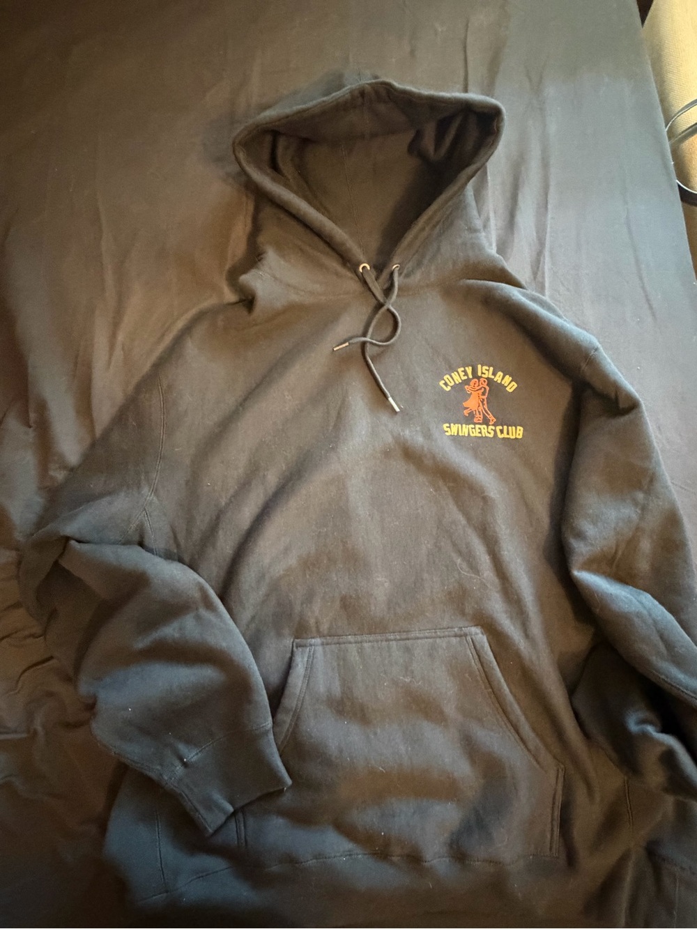 Coney Island picnic double thick hoodie